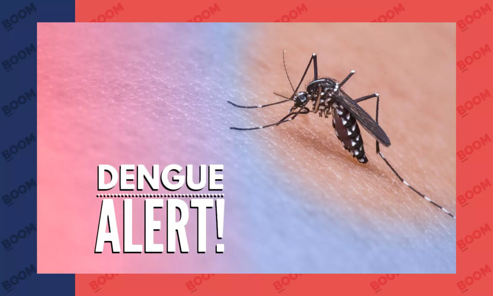 Dengue myths and treatment