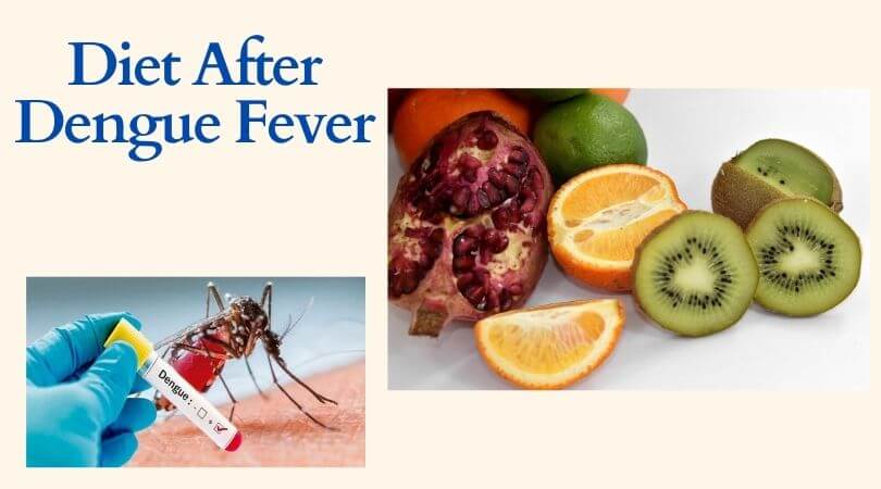 Dengue diet for quick recovery